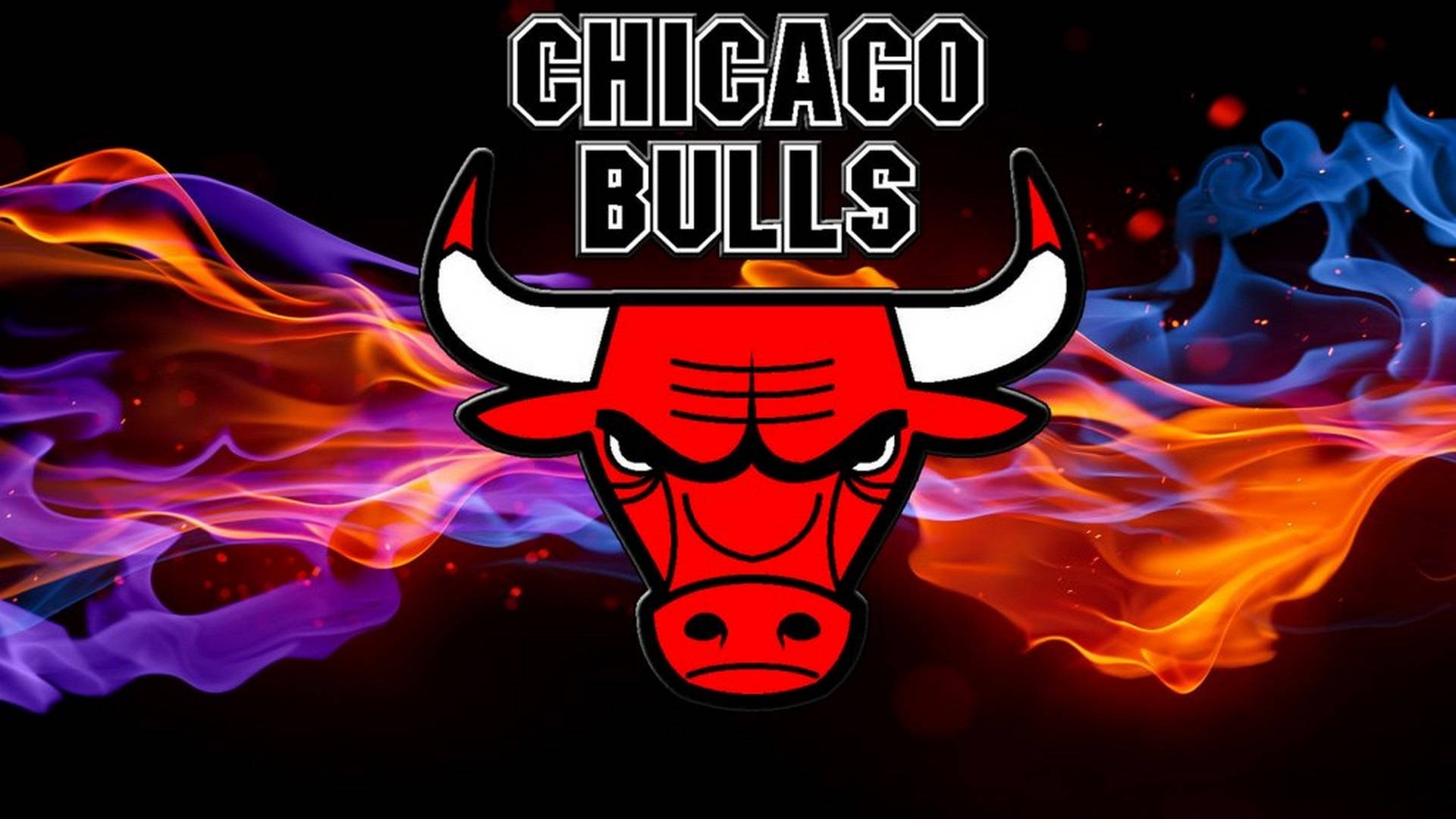 Chicago Bulls Stylised Bull Illustration Wallpaper