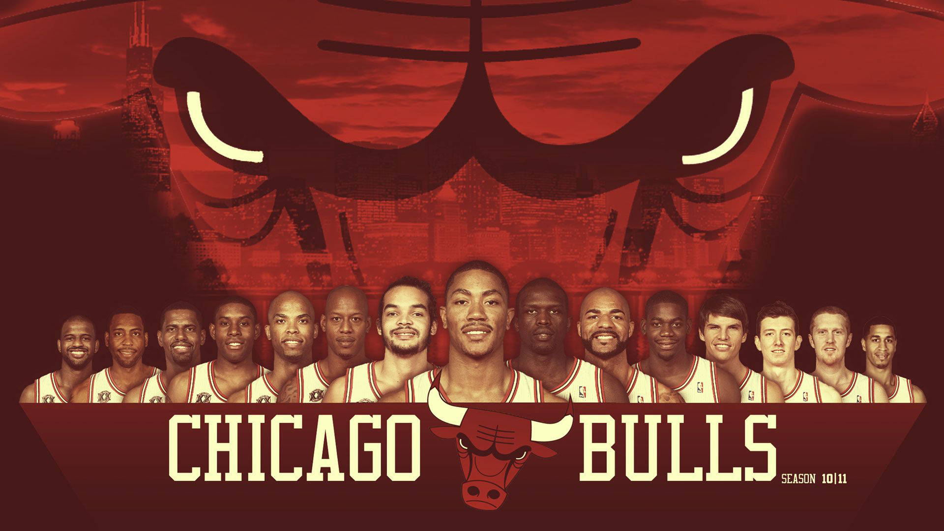 Chicago Bulls Team Photograph