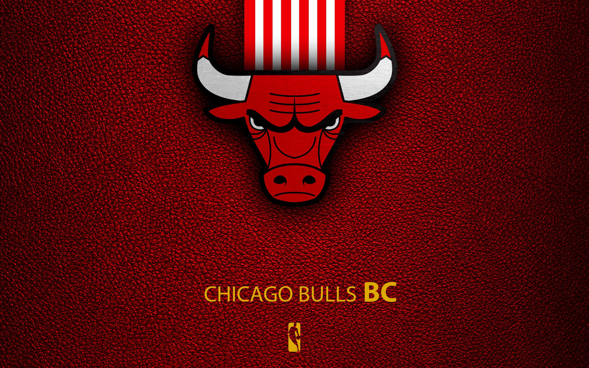 Chicago Bulls Textured Logo Wallpaper