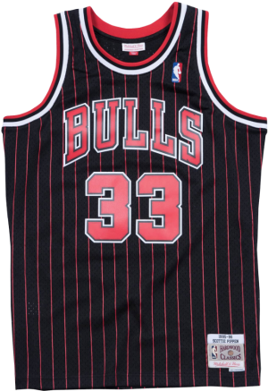 Chicago Bulls33 Jersey PNG