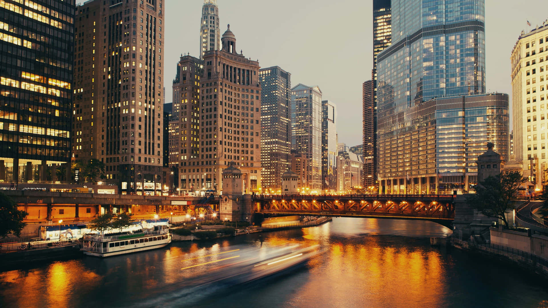 “Stunning Skyline View of Chicago”