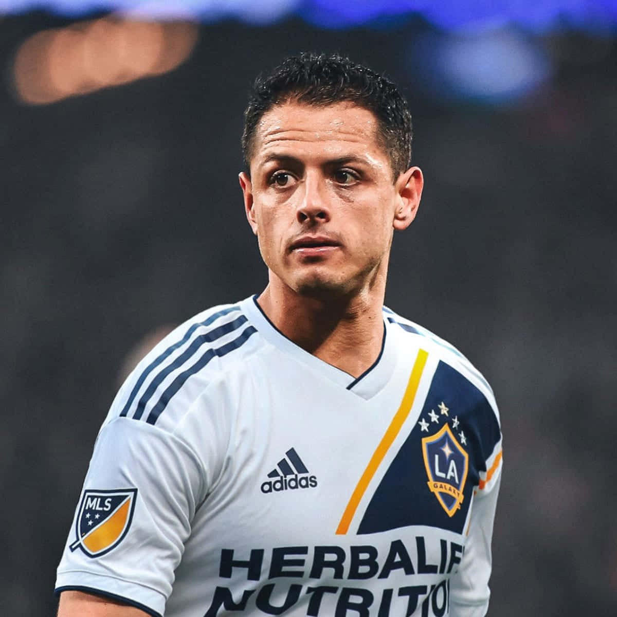 Chicharito L A Galaxy Soccer Player Wallpaper