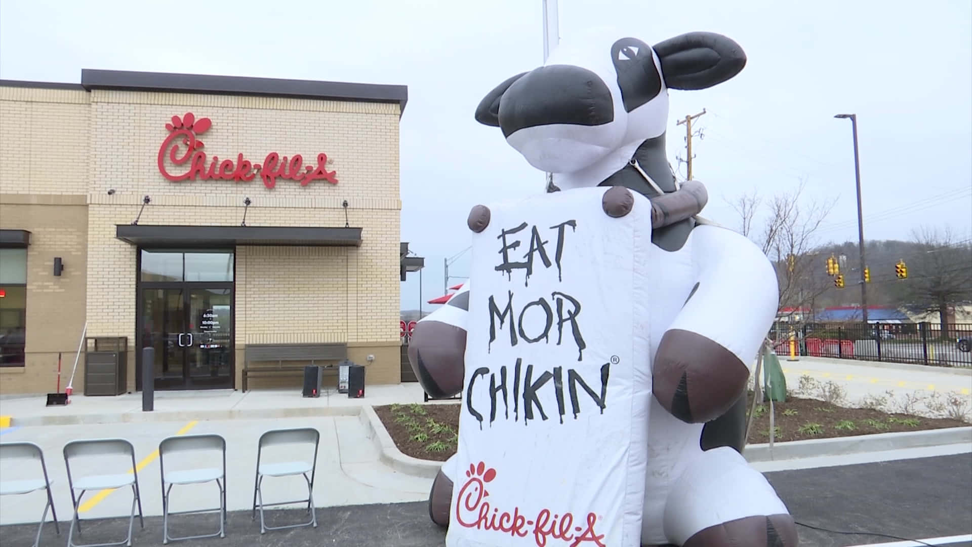 A Cow Holding A Sign That Says Eat Chicken