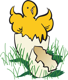 Chick Hatching From Egg PNG