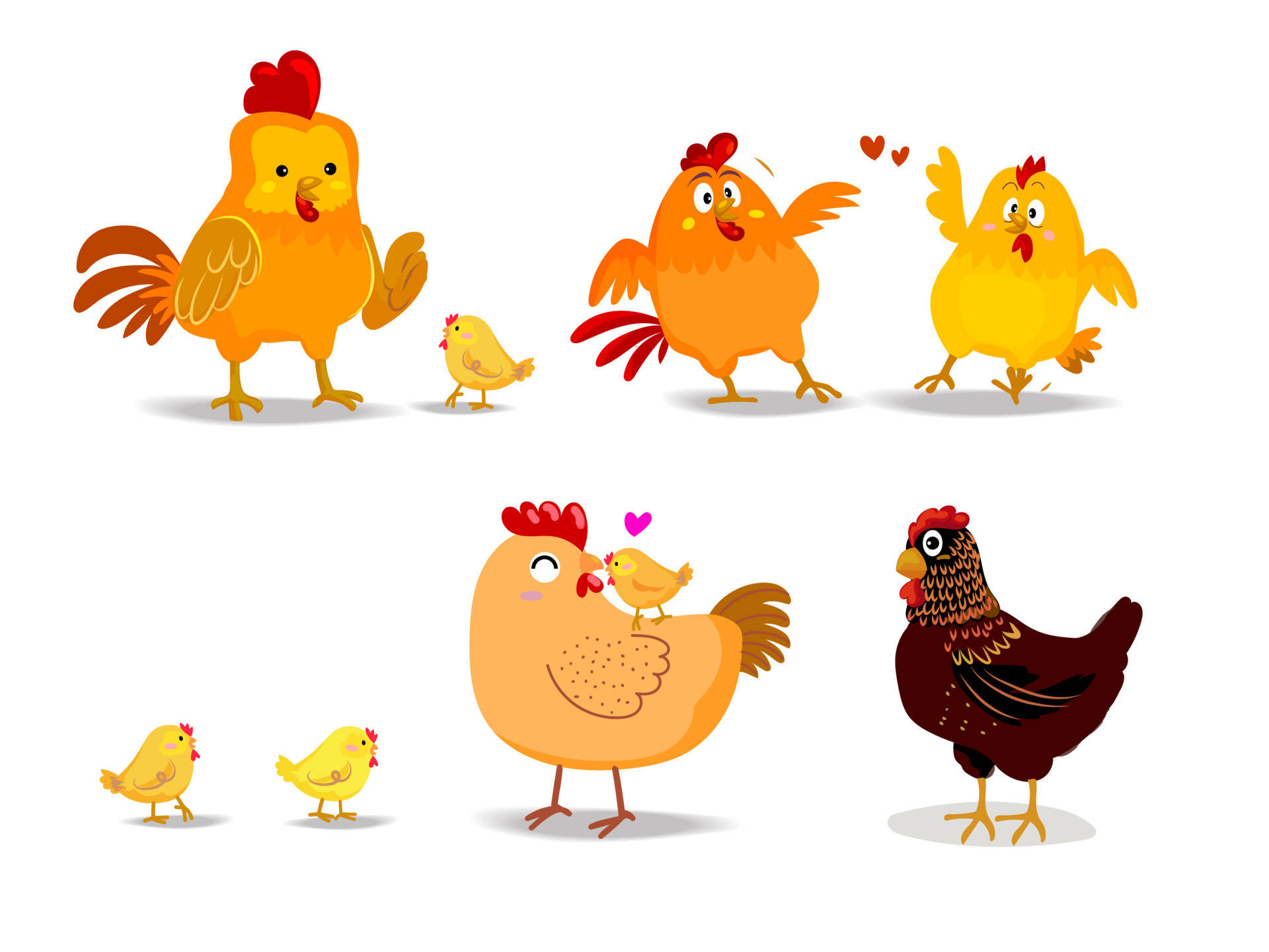 Chick With Hen Wallpaper