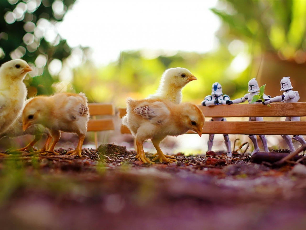 Chick With Stormtroopers Wallpaper