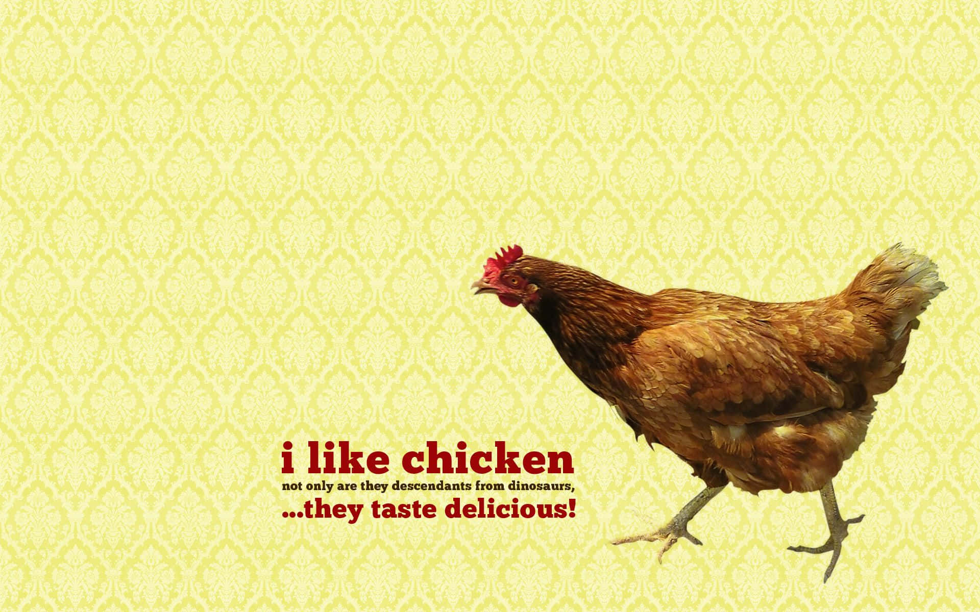 Funny Chickens Wallpapers - Wallpaper Cave