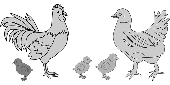 Chicken Family Silhouette PNG