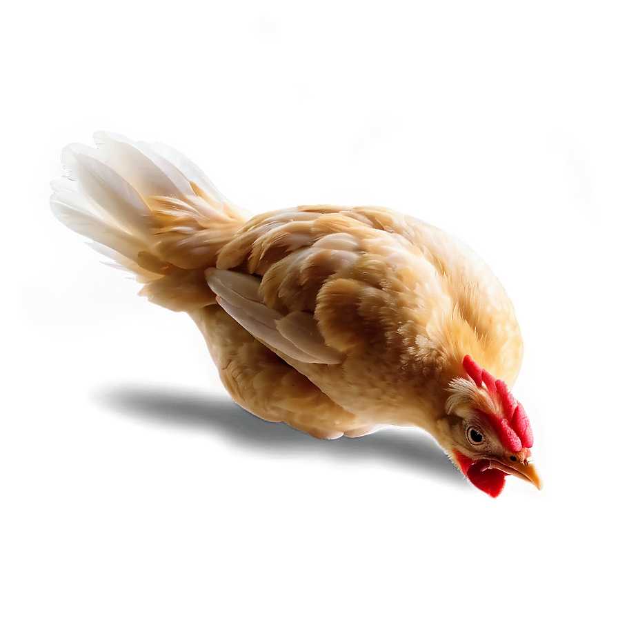 Chicken Sprite Png 81 PNG