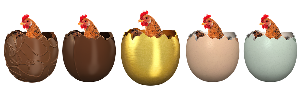 Chickens_ In_ Chocolate_ Eggs PNG