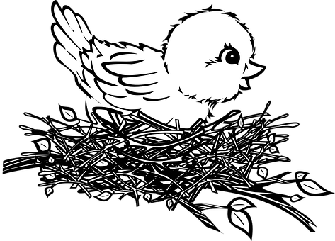 Chickin Nest Silhouette PNG