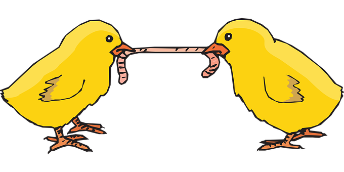 Chicks Tugof Worm PNG