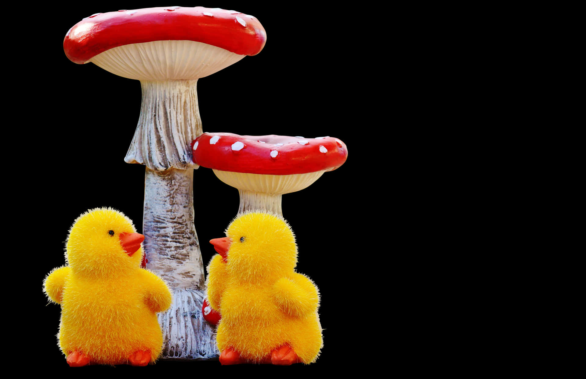Chicksand Mushrooms PNG