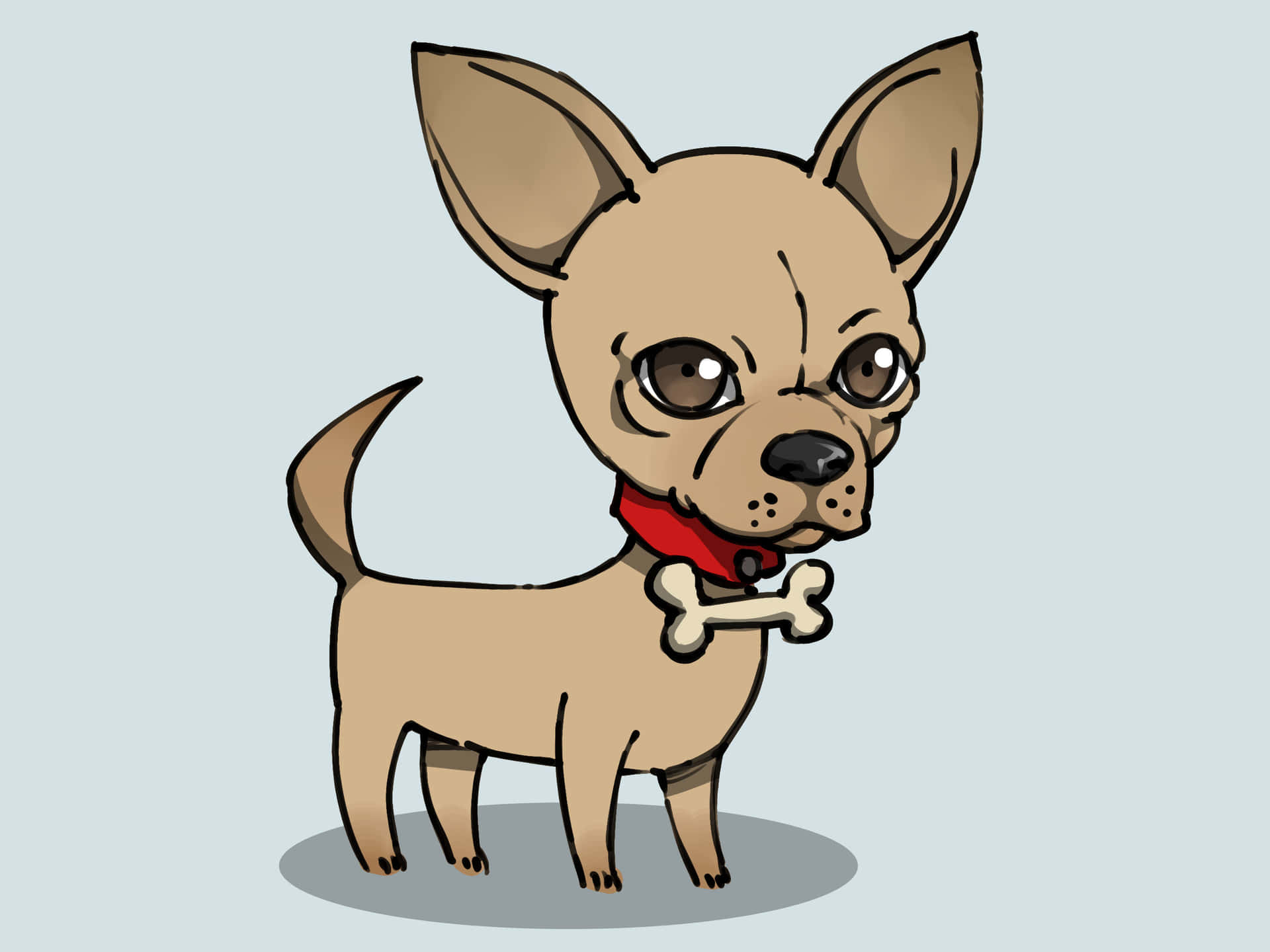 Unadorabile Cucciolo Di Chihuahua Di Razza Pura Si Siede Pazientemente Ad Aspettare Attenzione.