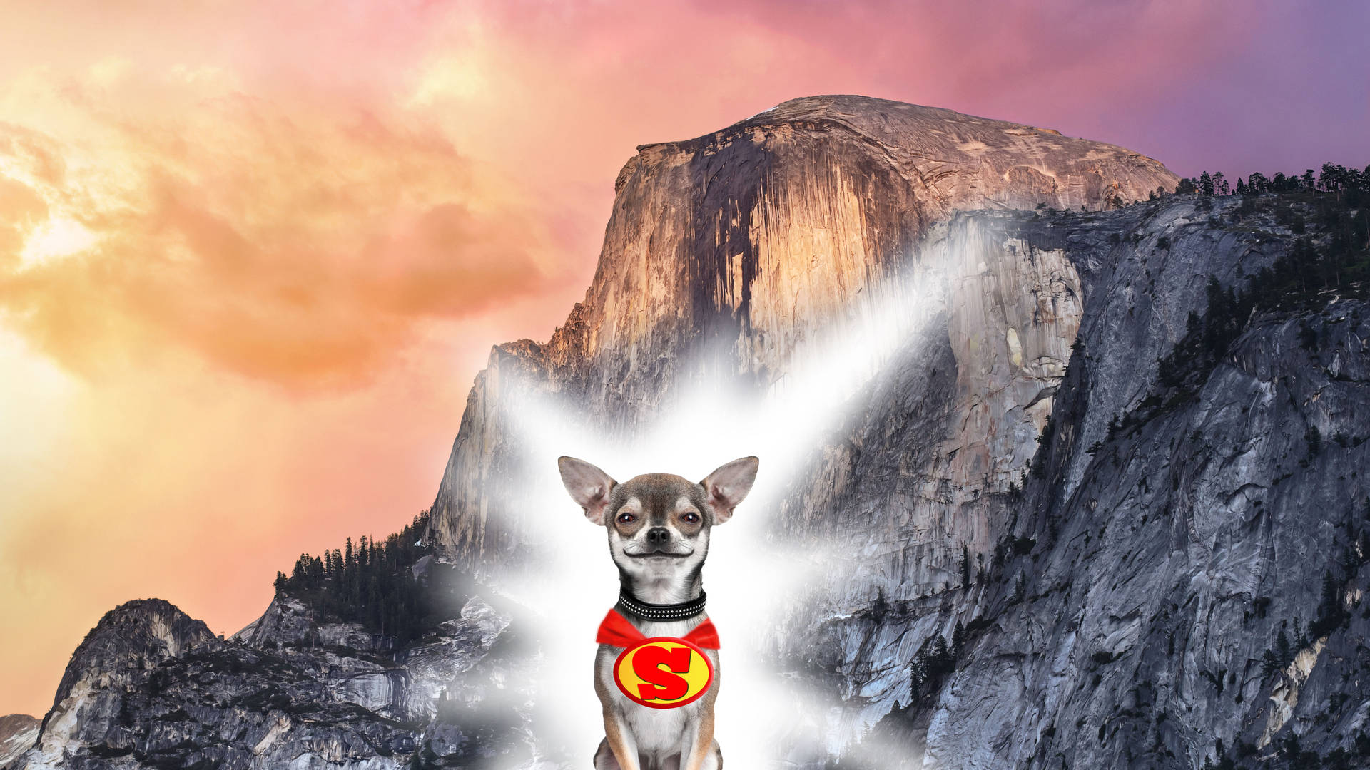 Chihuahua Superhero Poster Wallpaper