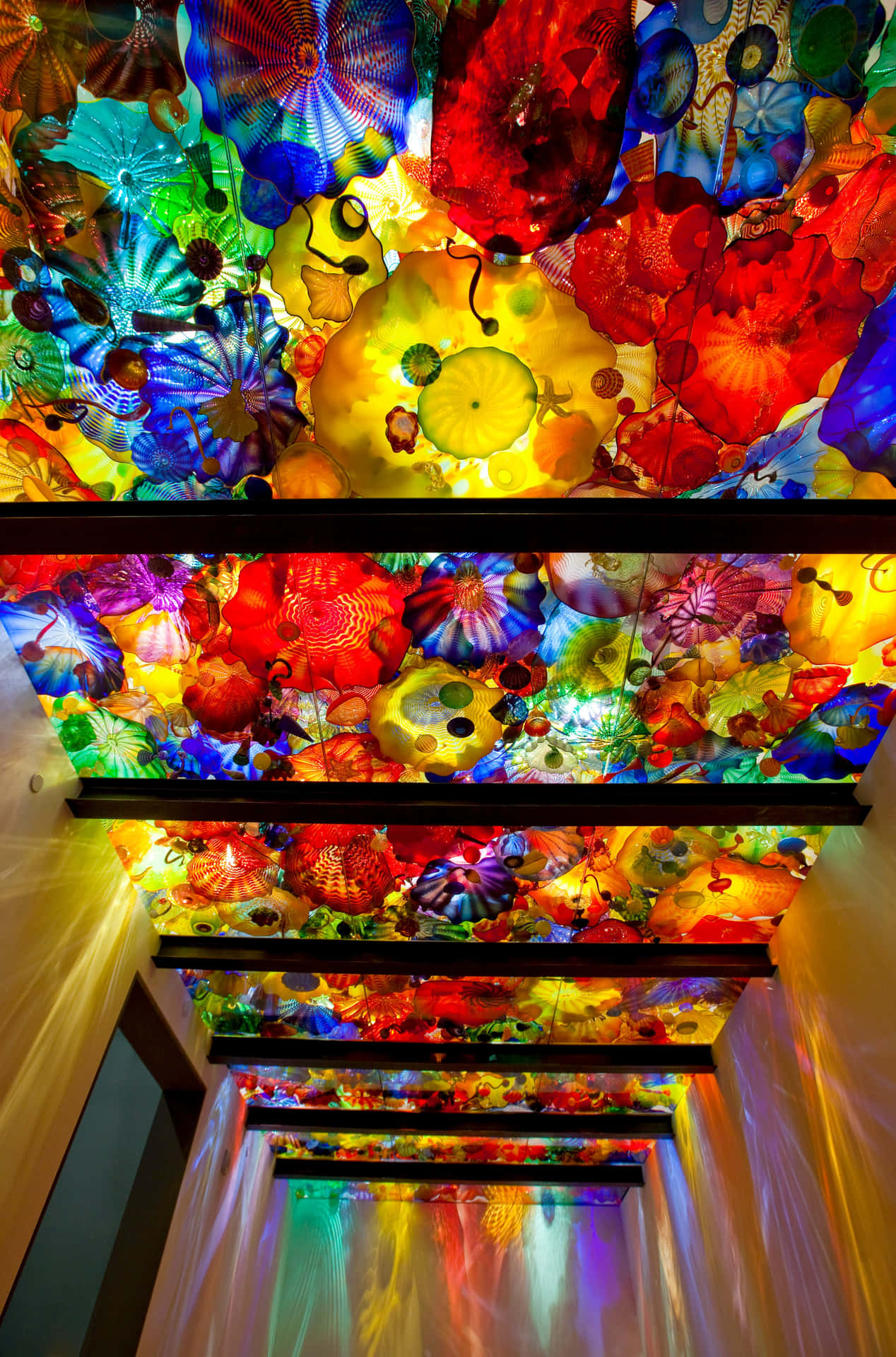 Chihuly Glass Ceiling Art Wallpaper