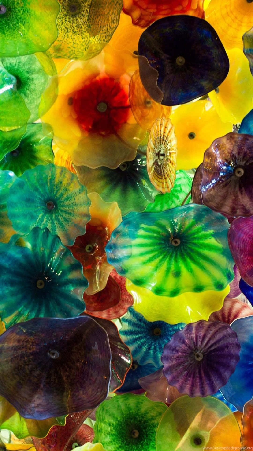 Chihuly Glass Flower Ceiling Wallpaper
