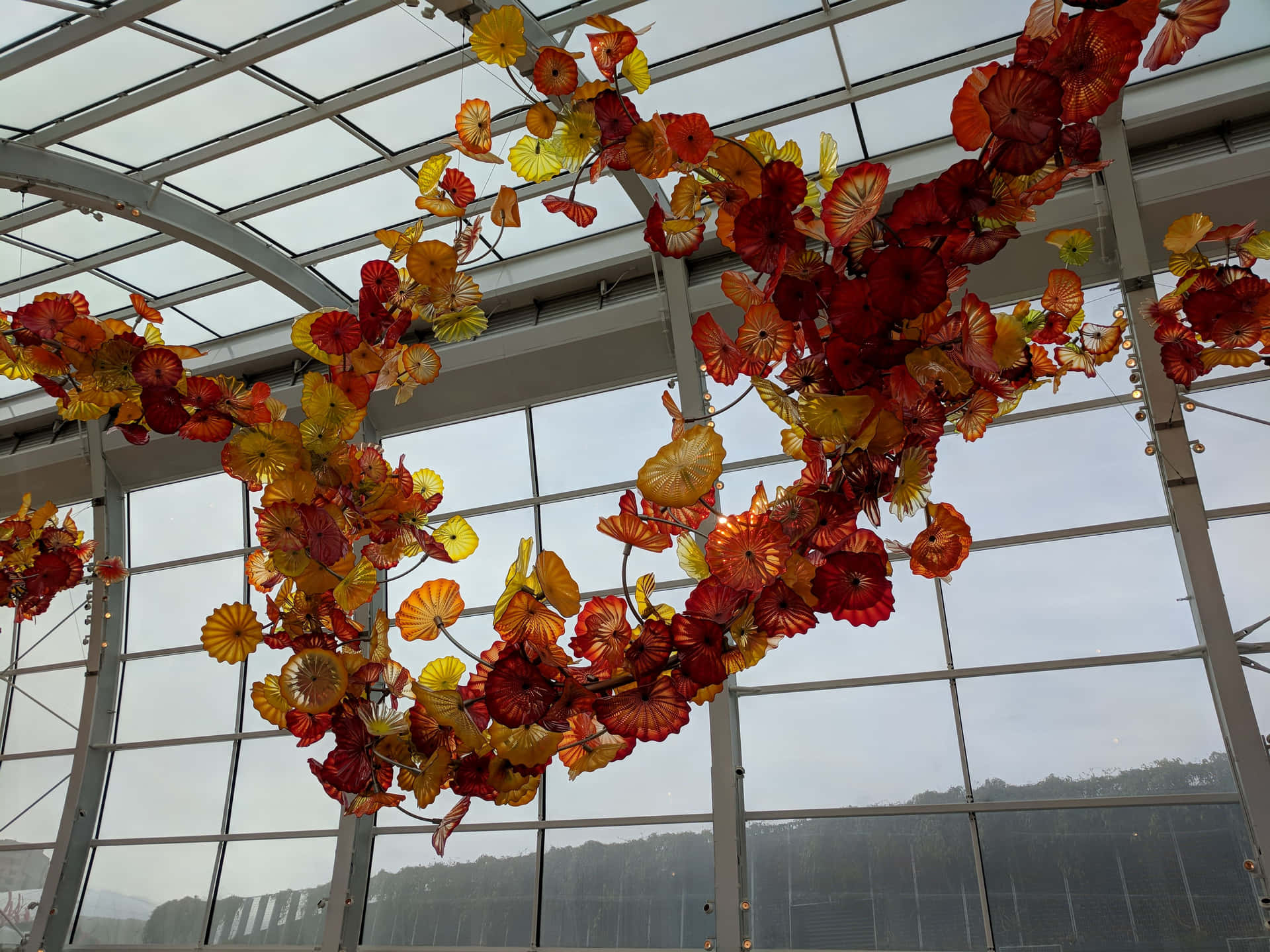 Chihuly Glass Flowers Ceiling Installation Wallpaper