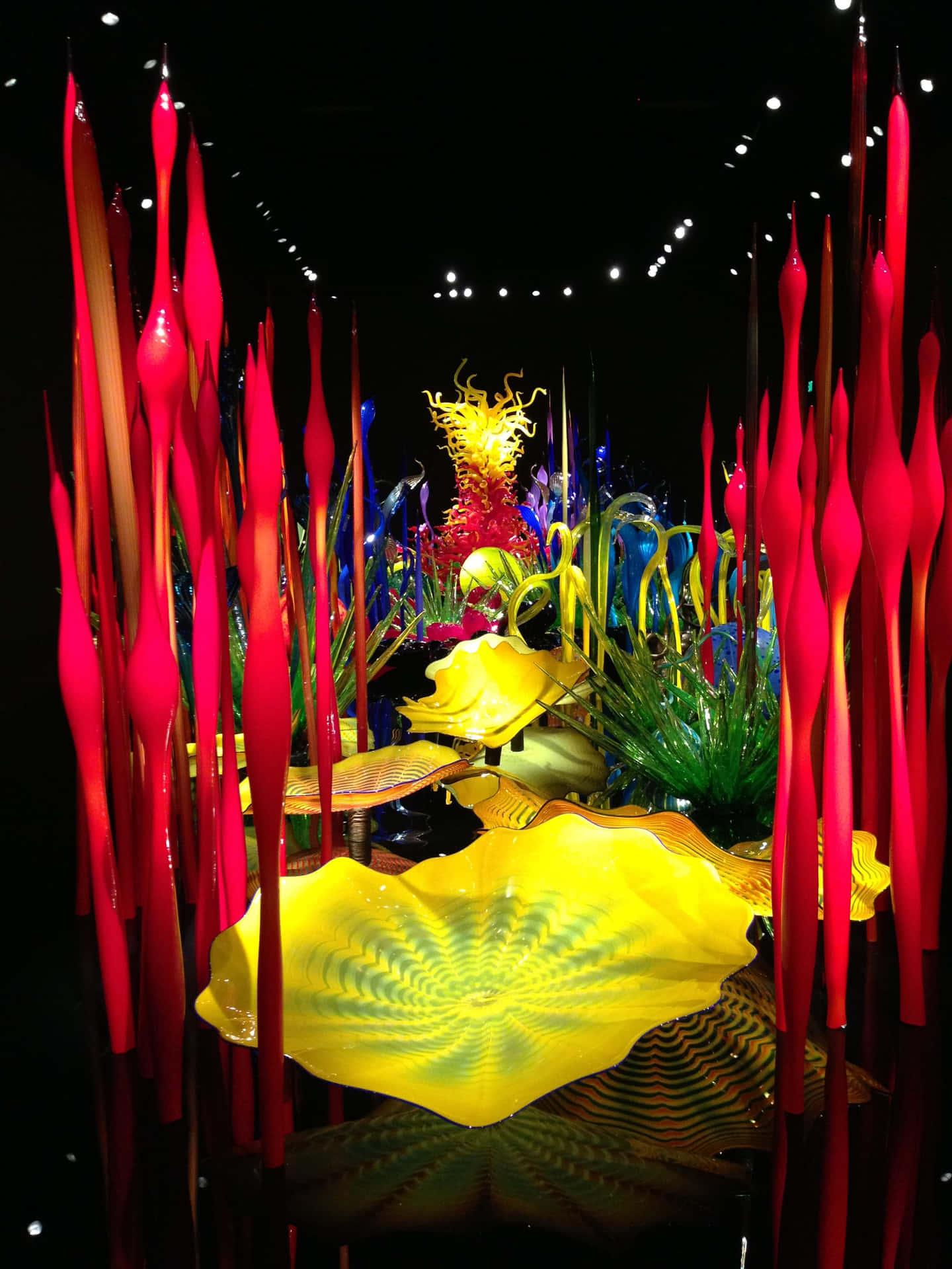 Chihuly Glass Forest Exhibit Wallpaper