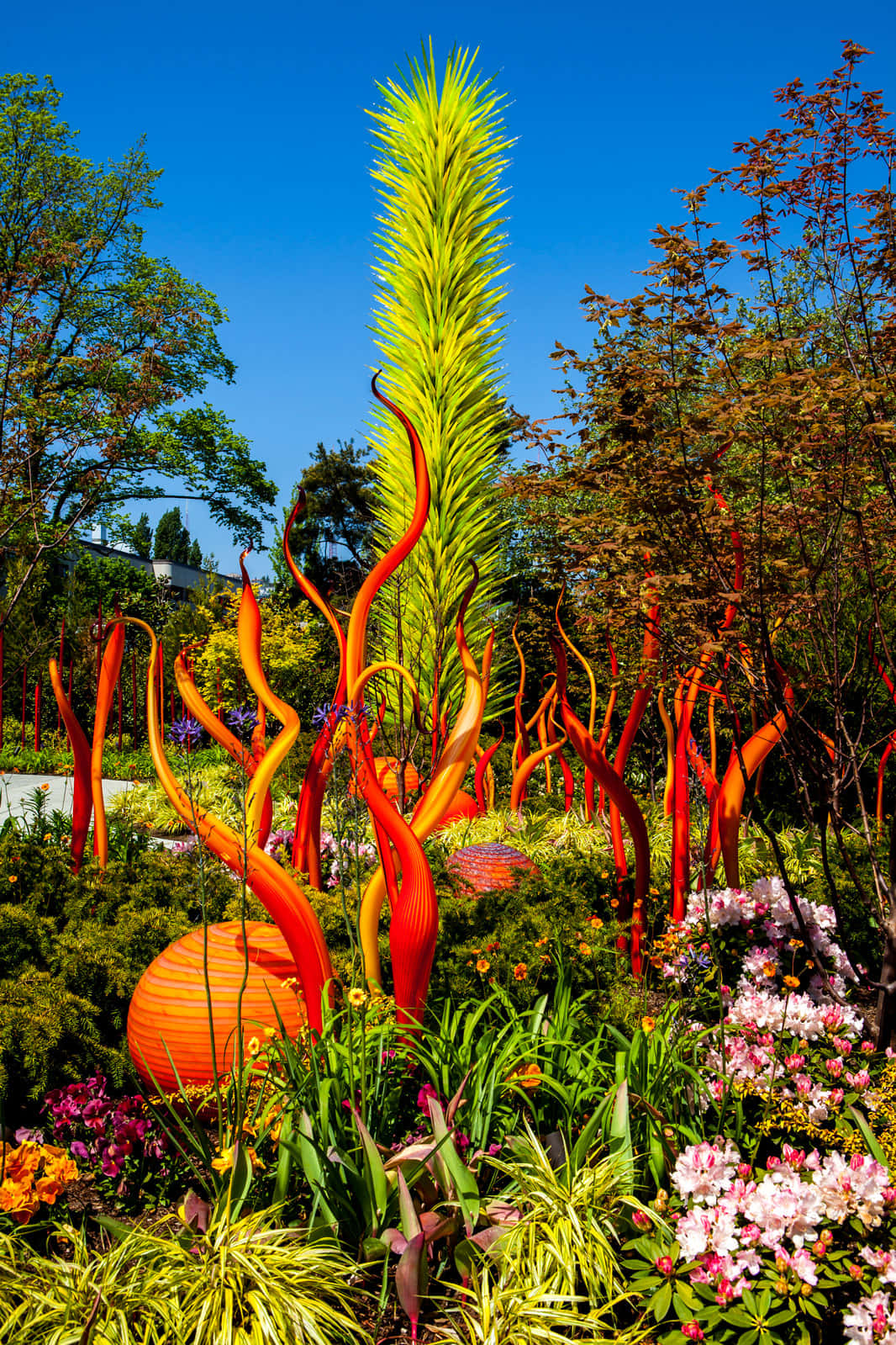 Chihuly Glass Sculptures Garden Display Wallpaper