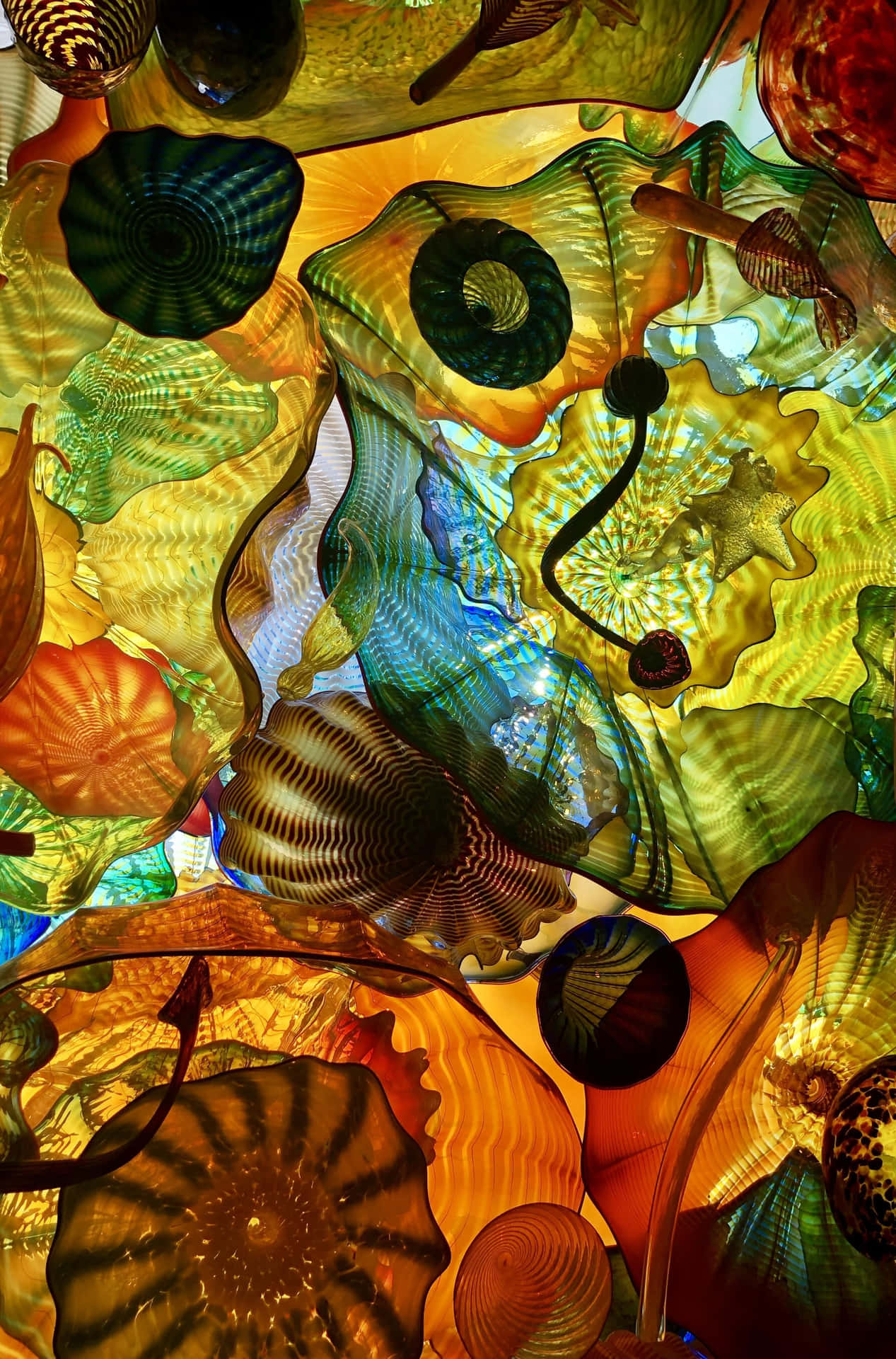 Chihuly Glasshouse Ceiling Art Wallpaper