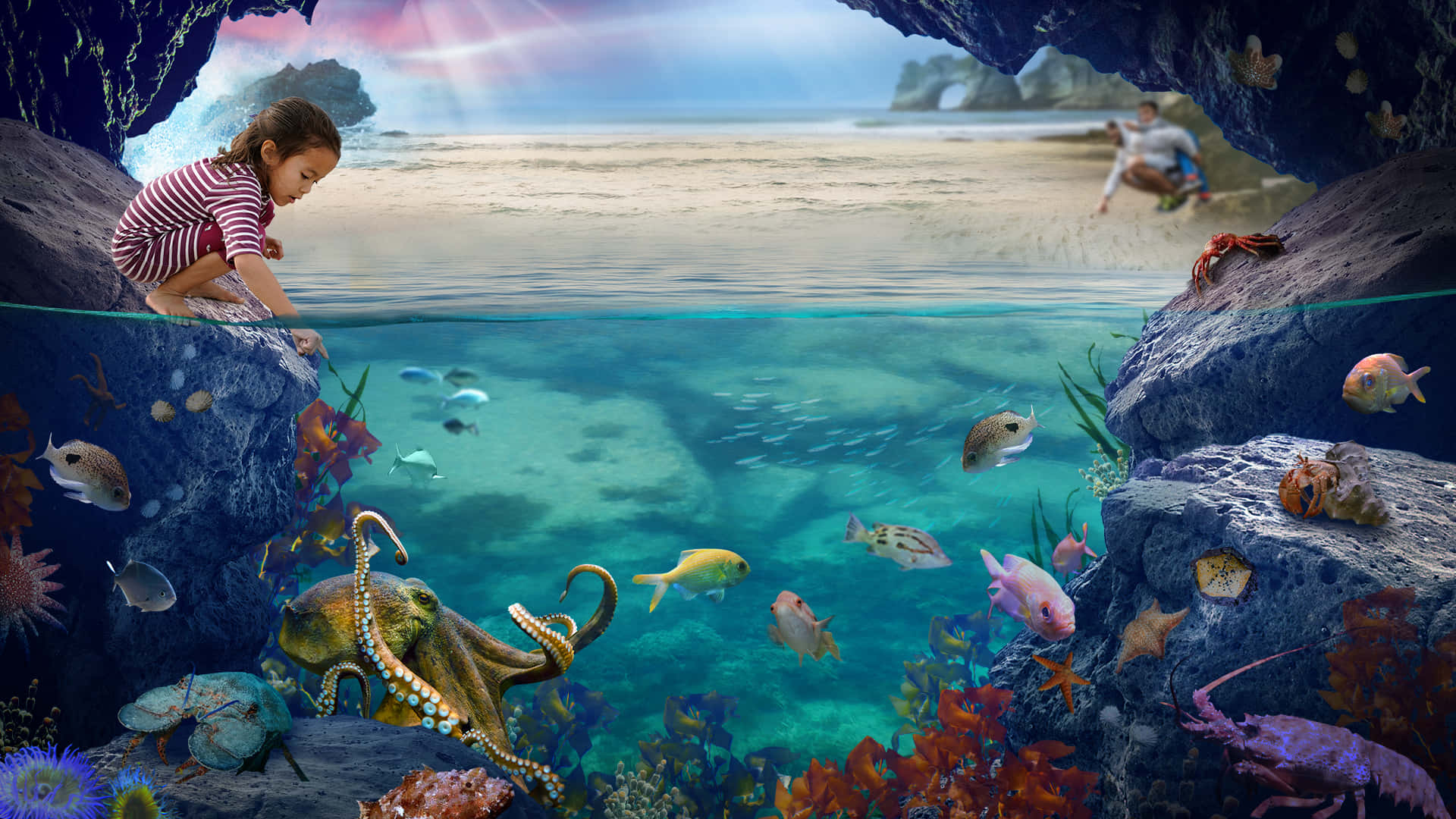 Child Exploring Underwater Aquarium World Wallpaper