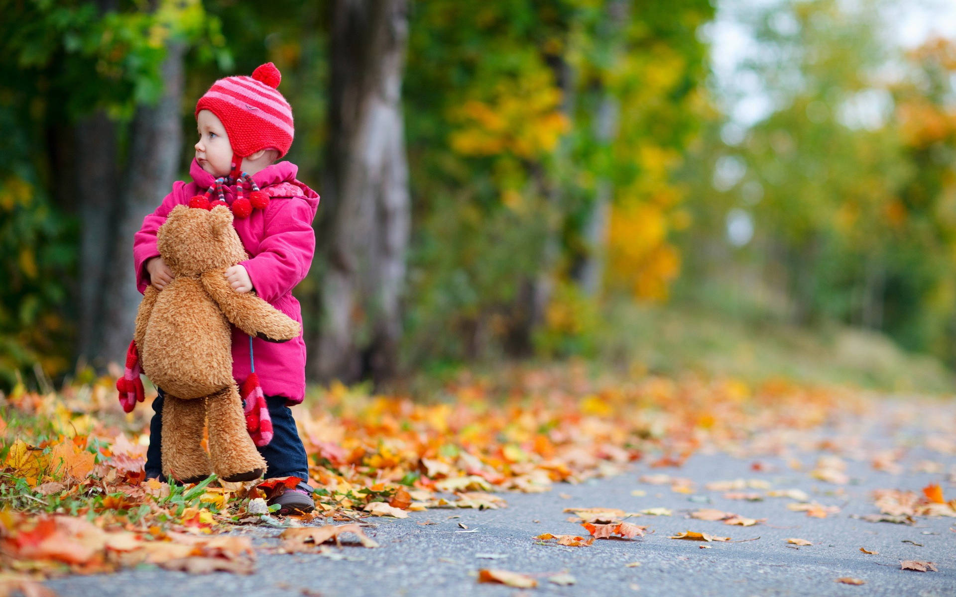 Child Holding Teddy Bear On The Road Autumn Wallpaper
