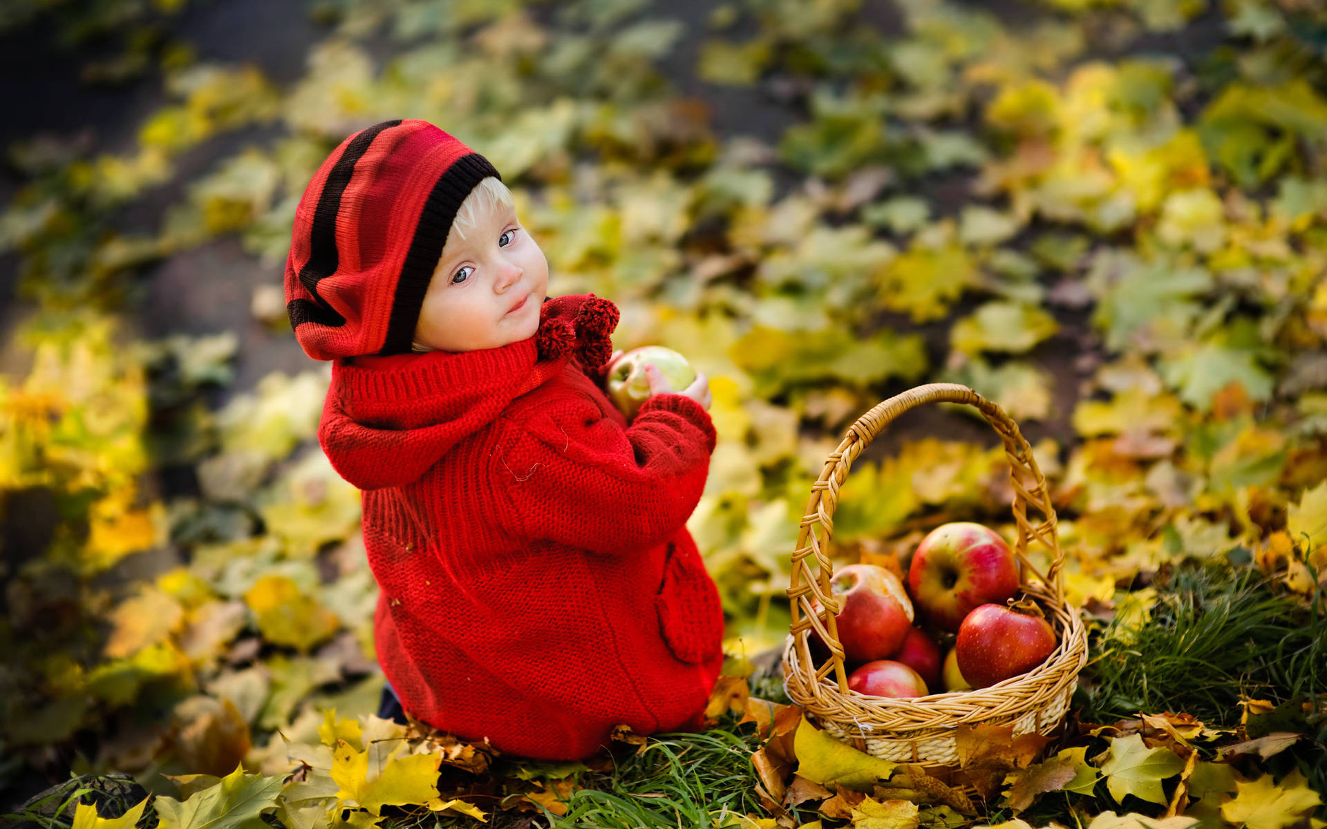 Child With A Basket Of Apples Wallpaper