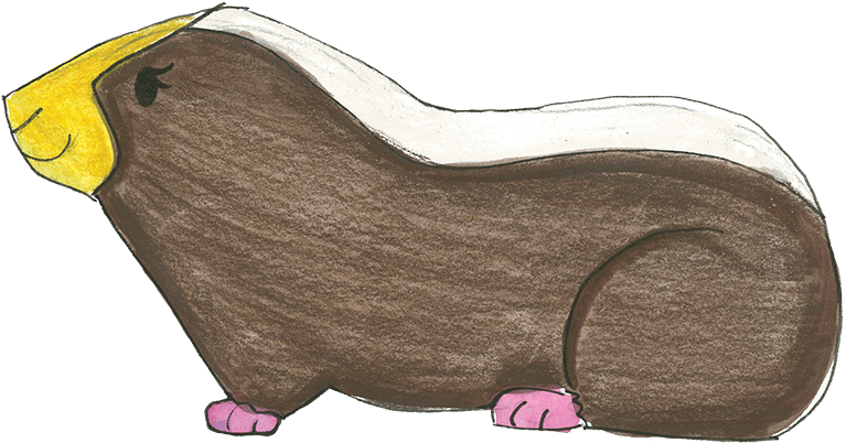 Childs Drawingof Guinea Pig PNG