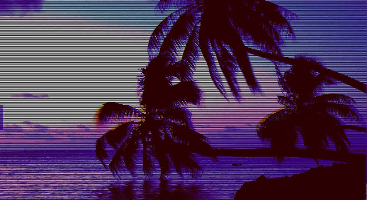 A Palm Tree In The Water Wallpaper