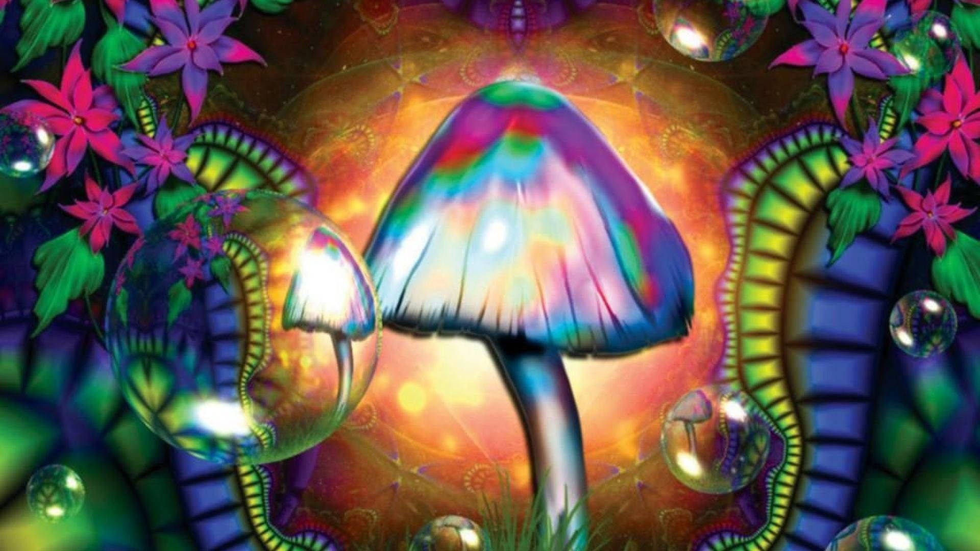 Chill Stoner Mushroom Wallpaper
