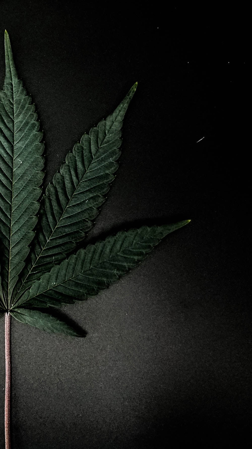 Chill Stoner Weed In Black Wallpaper
