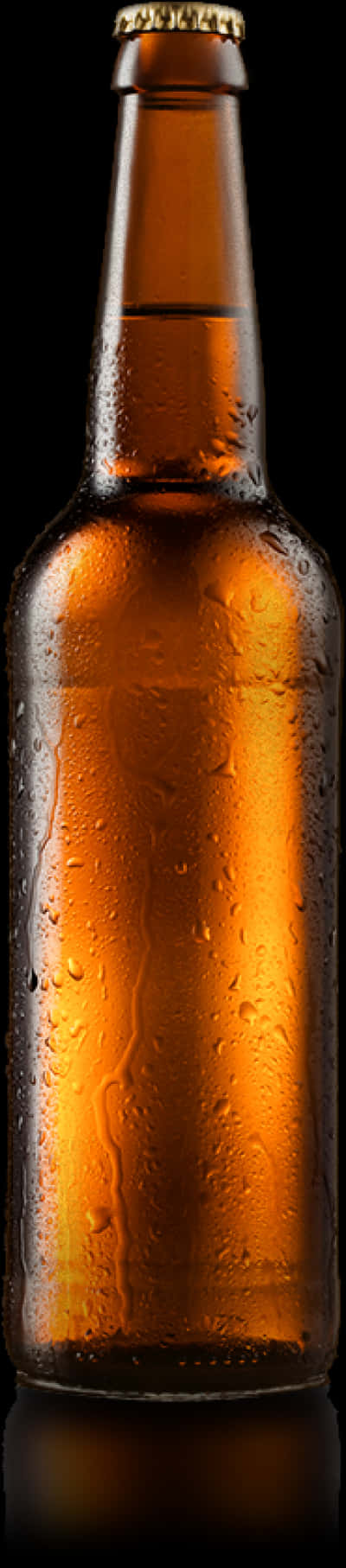 Chilled Beer Bottle Against Black Background PNG