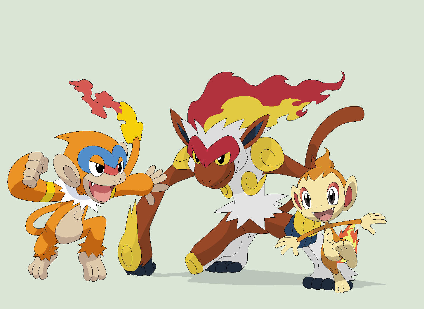 Chimchar With Monferno And Infernape Wallpaper