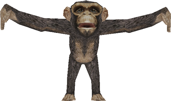 Chimpanzee Arms Spread Wide PNG