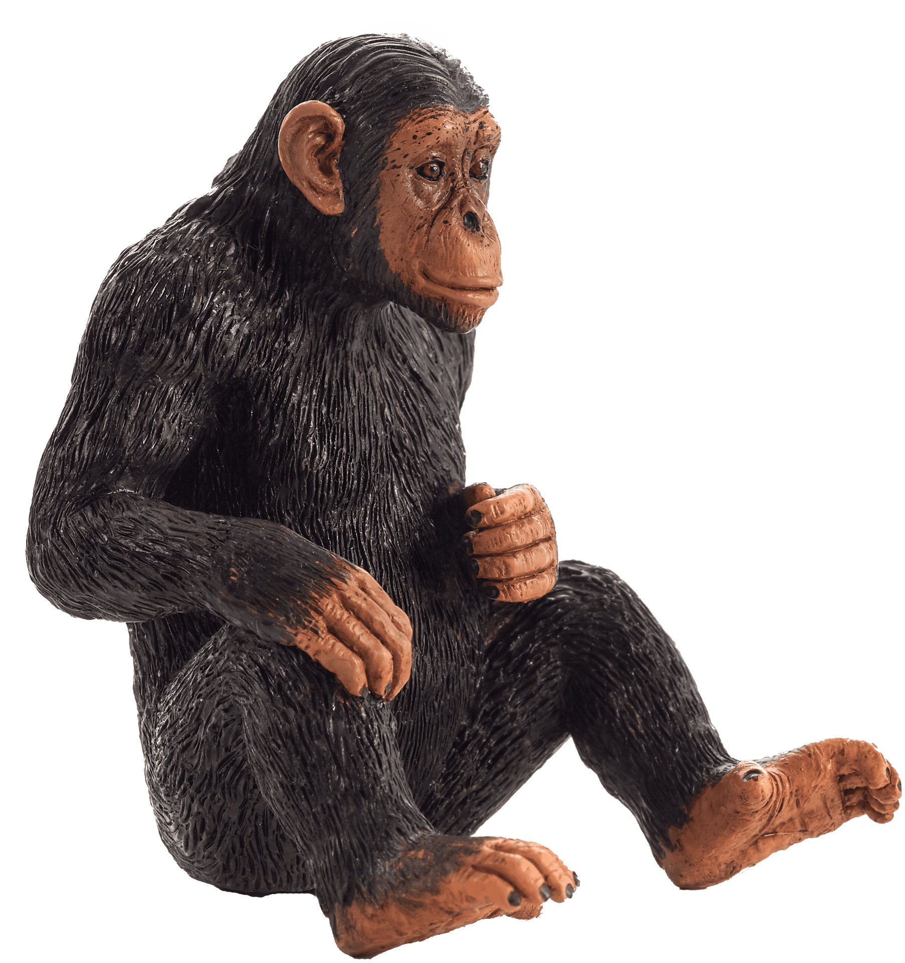 Chimpanzee Figurine Sitting Pose PNG