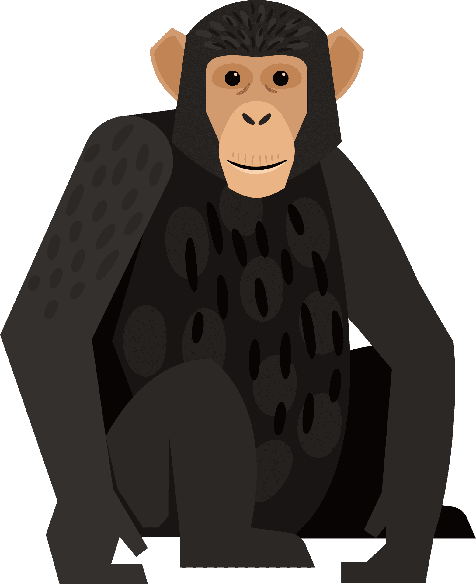 Chimpanzee Vector Illustration PNG