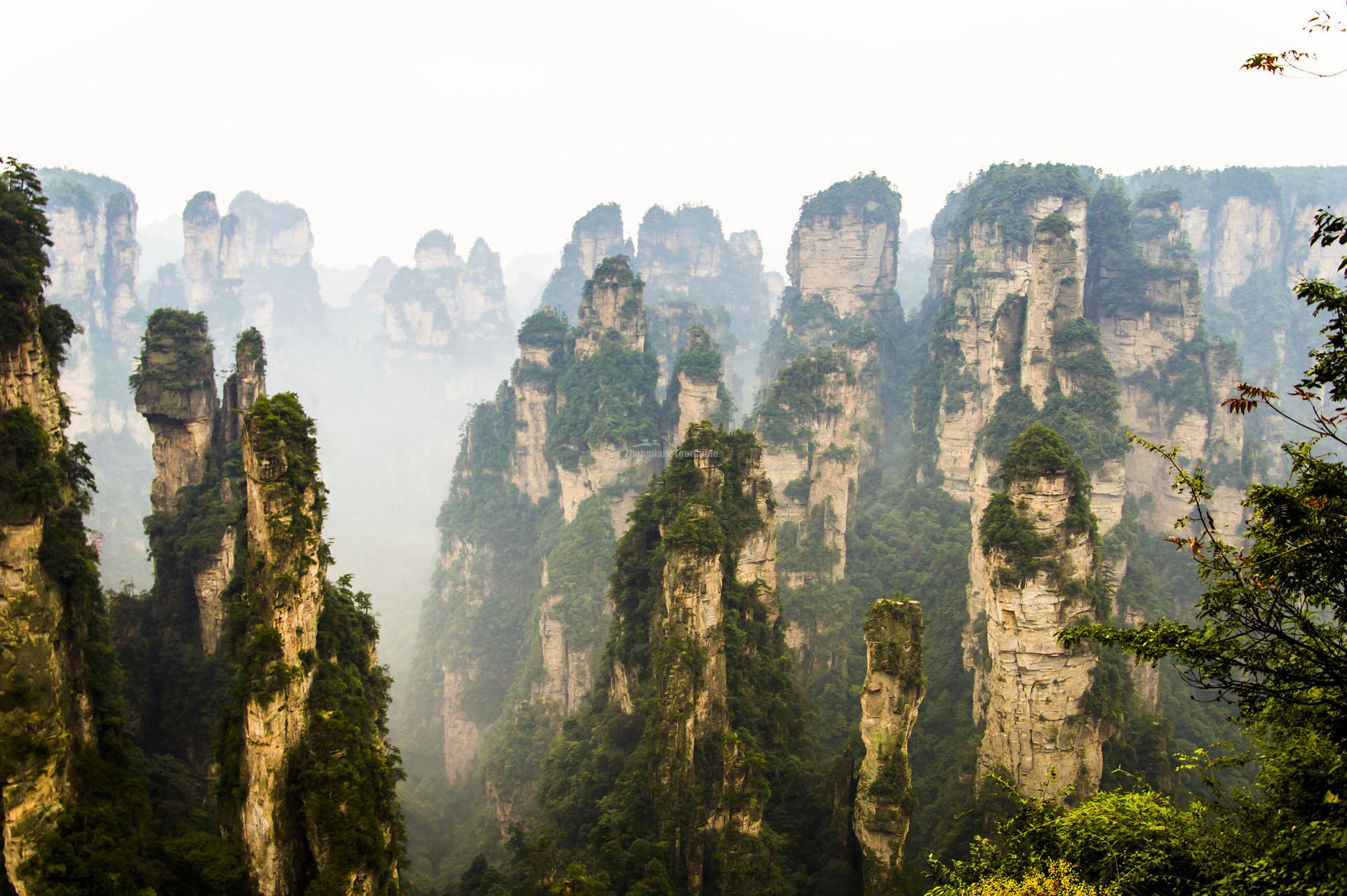 China Zhangjiajie National Forest Park Picture