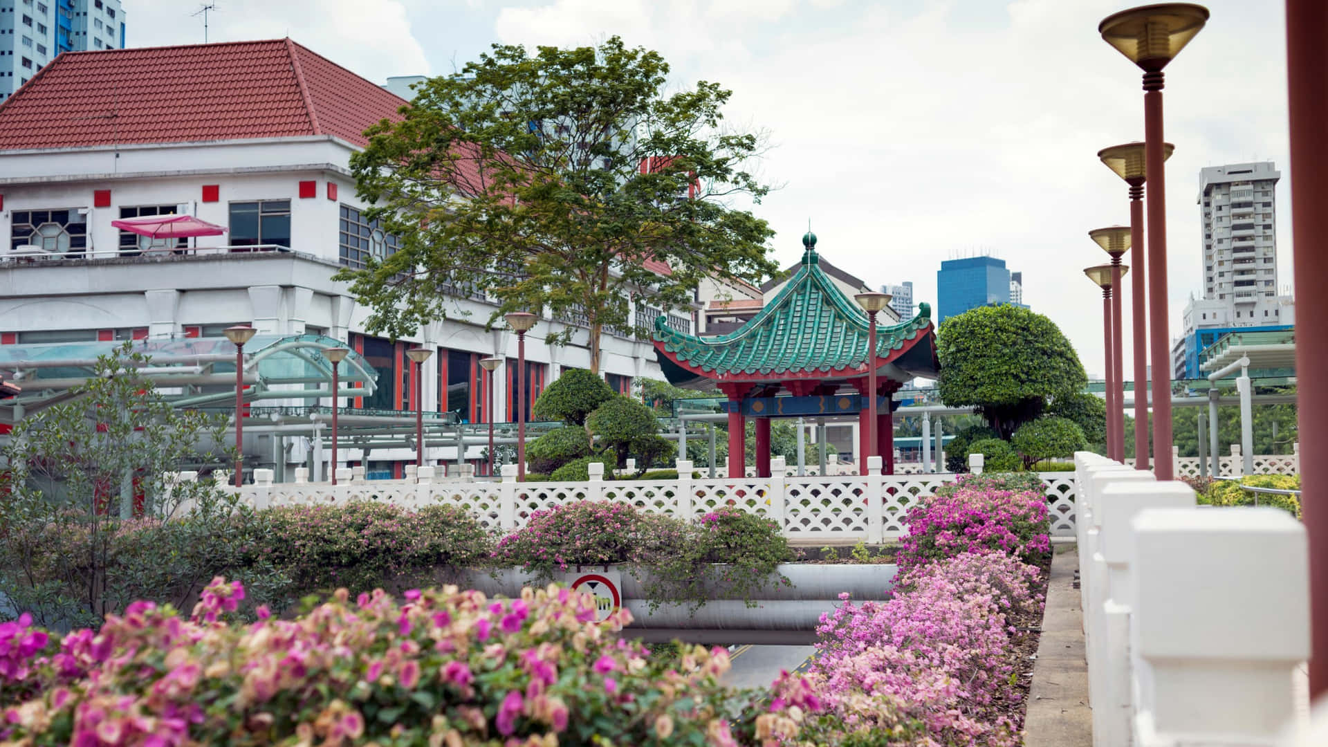 Chinatown Singapore Pavilionand Flowers Wallpaper