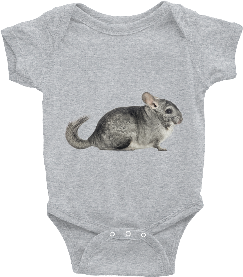 Chinchilla On Baby Onesie PNG