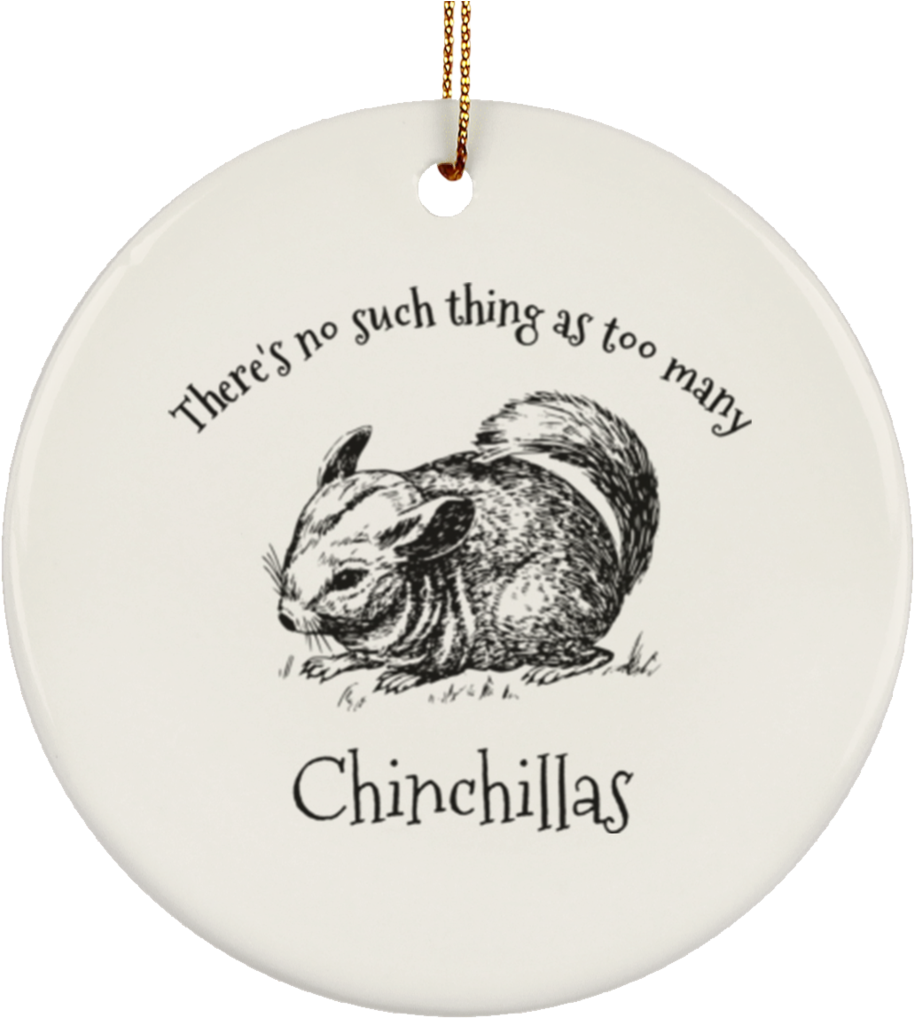 Chinchilla Ornament Graphic PNG