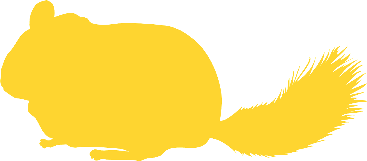 Chinchilla Silhouette Yellow PNG
