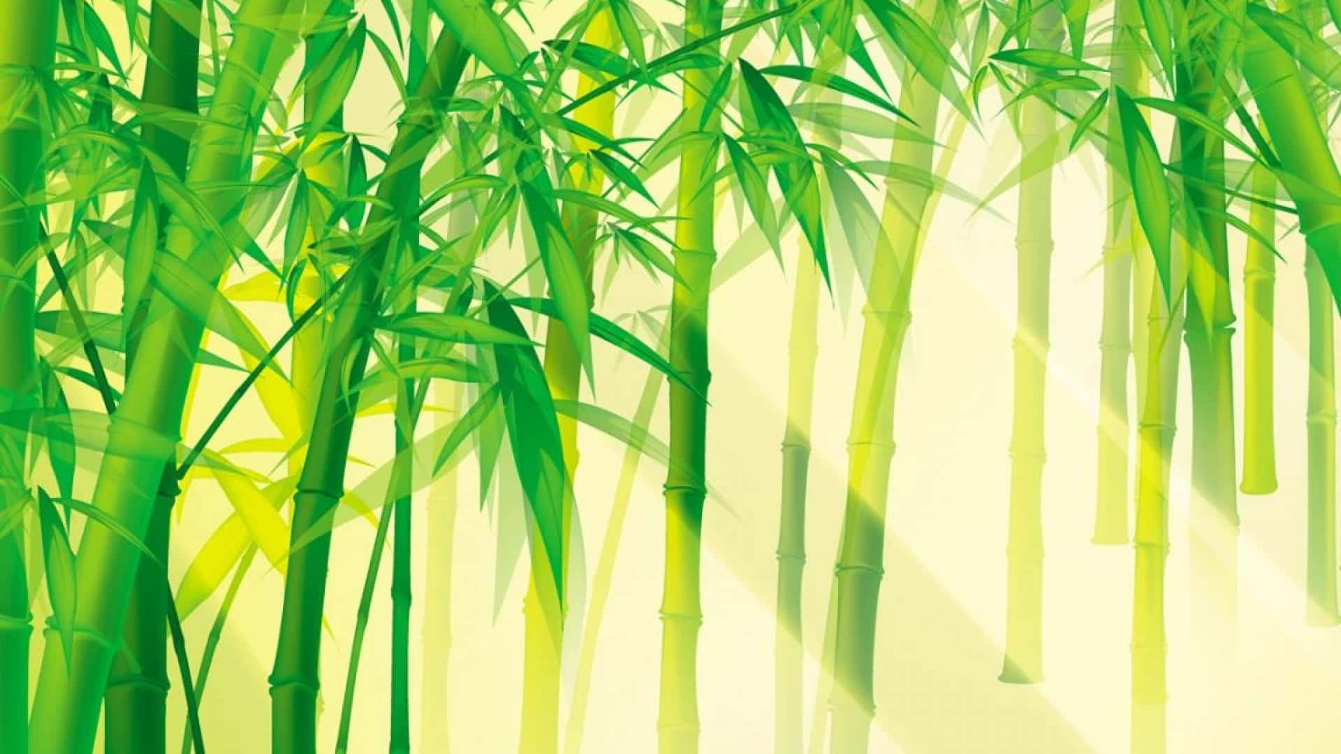 A Bamboo Forest With Sunlight Shining Through The Leaves Wallpaper