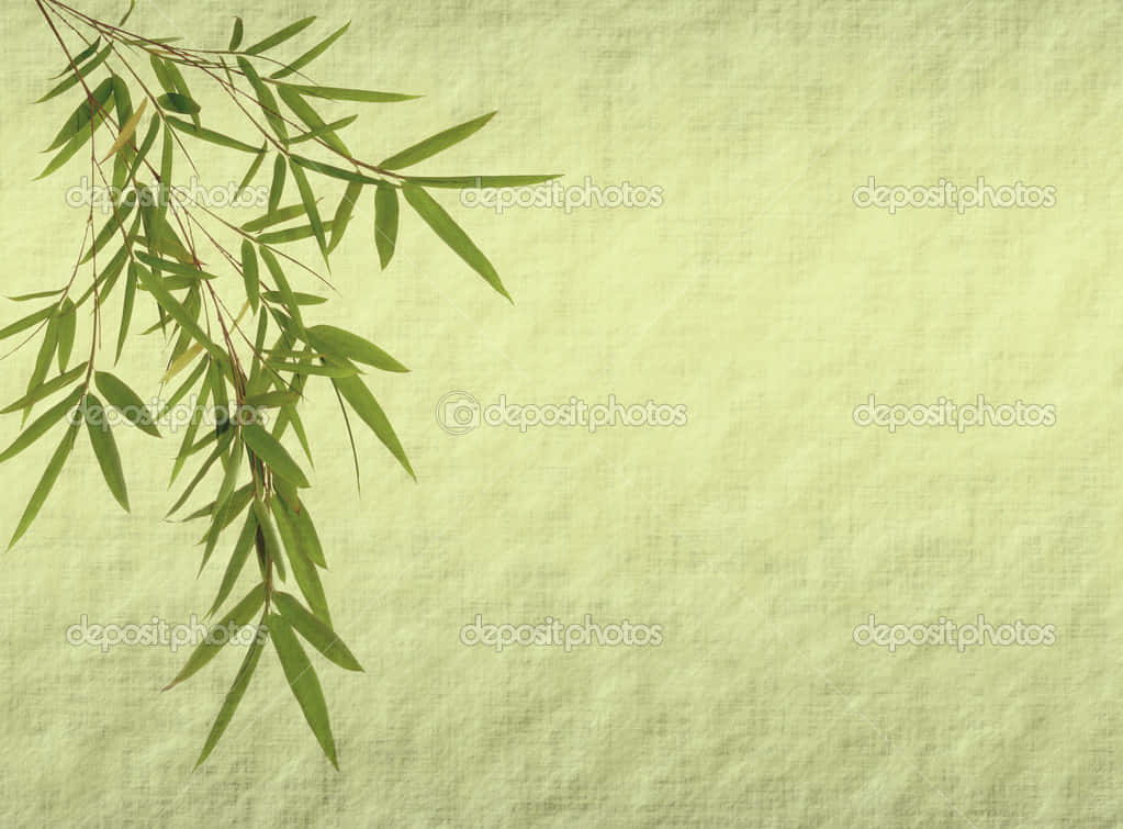 Strålende høj mod elementerne - En kinesisk Bambus Tapet. Wallpaper