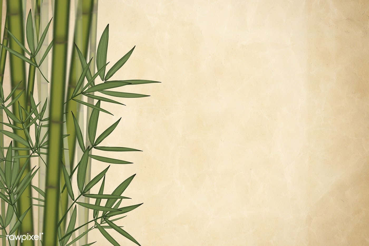 Bambus baggrund med en bambus træ design Wallpaper