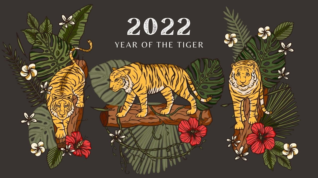 Kinesisktnyår 2022 - Tre Tigrar. Wallpaper