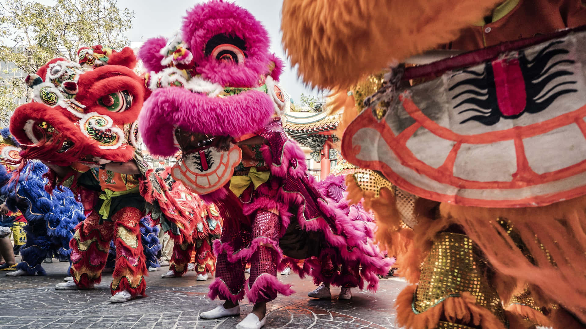A Festive Chinese New Year Celebration