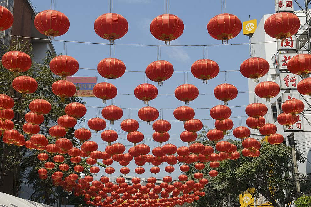 Vibrant Chinese New Year Celebration