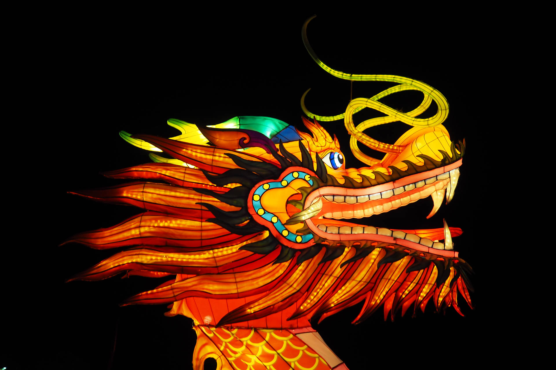 Chinese New Year Dragon Light