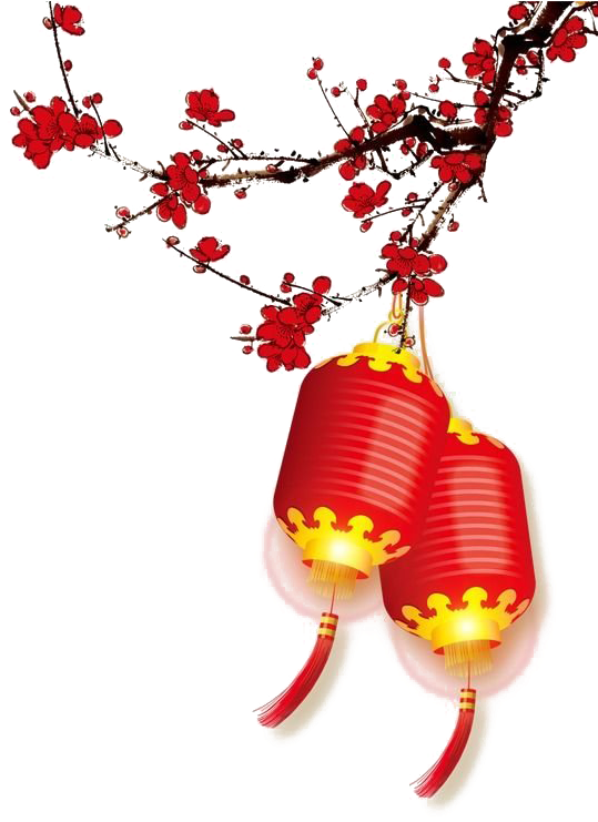 Chinese New Year Lanterns Branch PNG